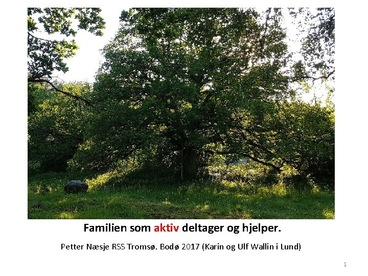Familien som aktiv deltager og hjelper. Petter Næsje RSS Tromsø. Bodø 2017 (Karin og