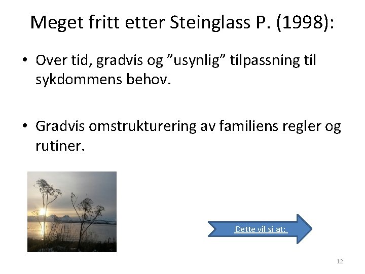 Meget fritt etter Steinglass P. (1998): • Over tid, gradvis og ”usynlig” tilpassning til