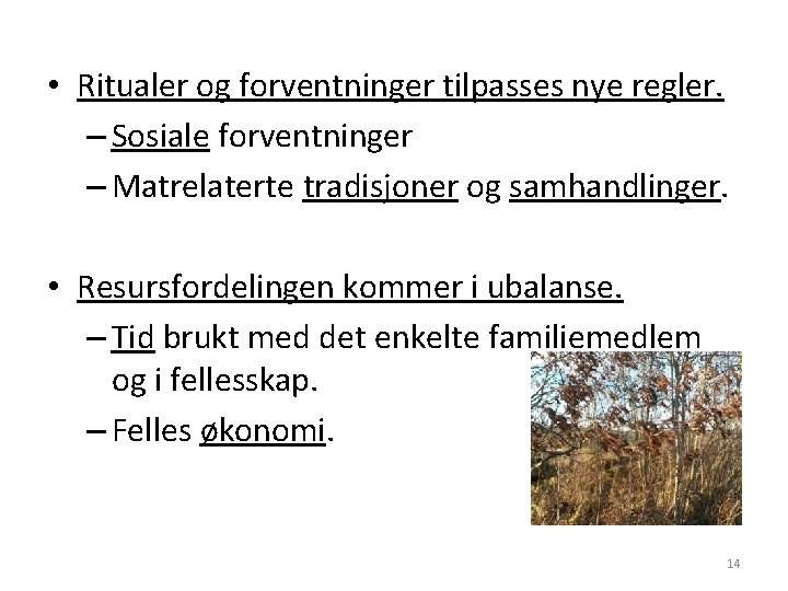  • Ritualer og forventninger tilpasses nye regler. – Sosiale forventninger – Matrelaterte tradisjoner