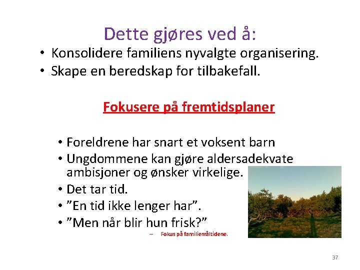 Dette gjøres ved å: • Konsolidere familiens nyvalgte organisering. • Skape en beredskap for