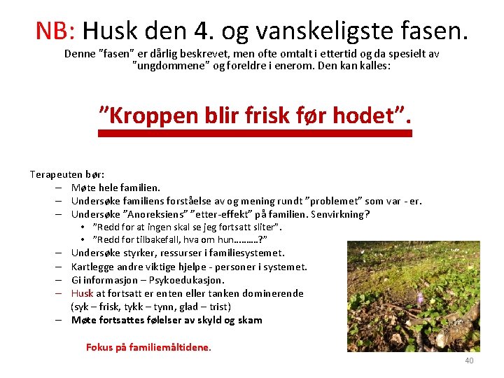 NB: Husk den 4. og vanskeligste fasen. Denne ”fasen” er dårlig beskrevet, men ofte