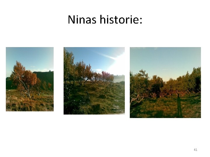 Ninas historie: 41 