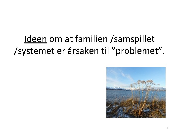 Ideen om at familien /samspillet /systemet er årsaken til ”problemet”. 6 