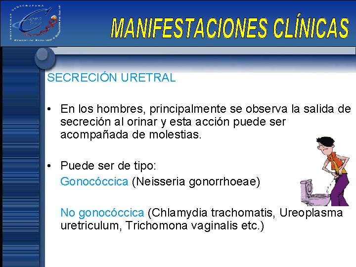 SECRECIÓN URETRAL • En los hombres, principalmente se observa la salida de secreción al