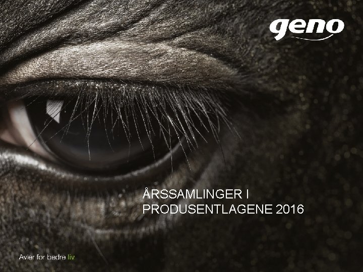 ÅRSSAMLINGER I PRODUSENTLAGENE 2016 