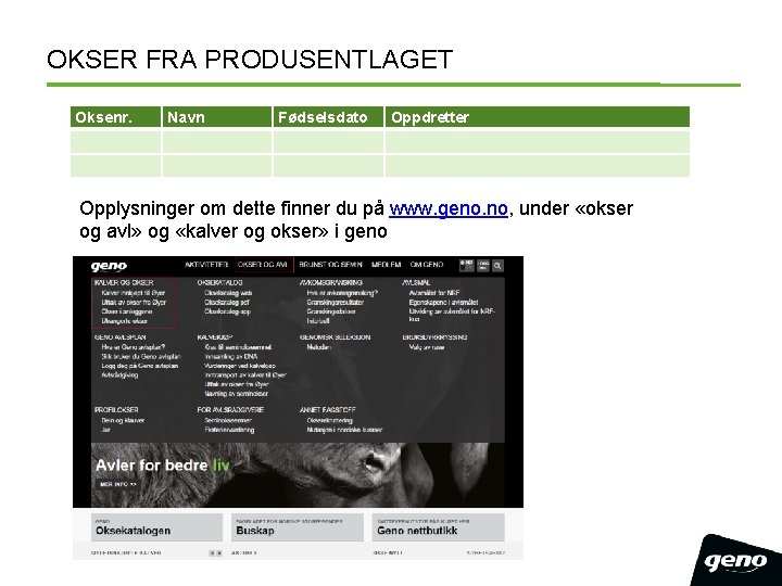 OKSER FRA PRODUSENTLAGET Oksenr. Navn Fødselsdato Oppdretter Opplysninger om dette finner du på www.