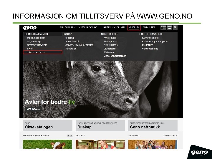 INFORMASJON OM TILLITSVERV PÅ WWW. GENO. NO 