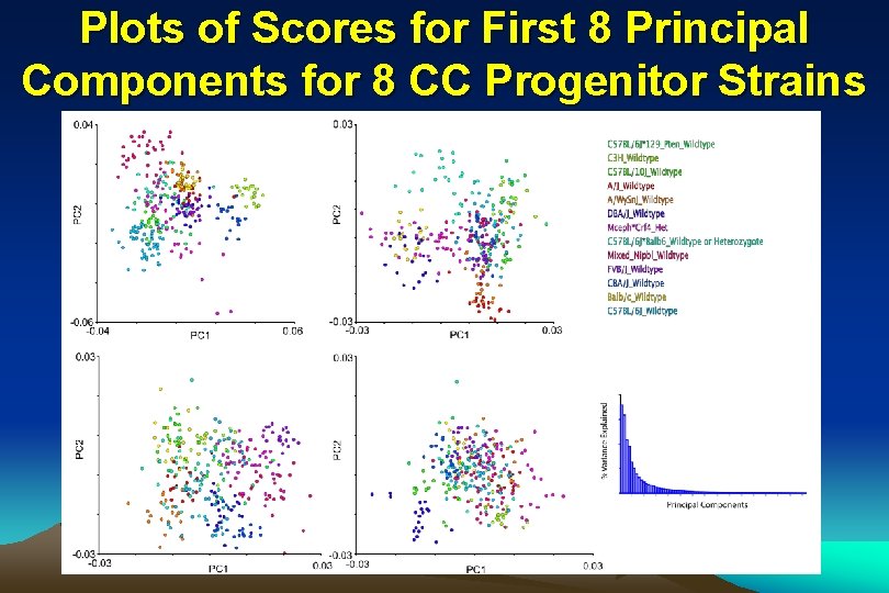 Plots of Scores for First 8 Principal Components for 8 CC Progenitor Strains 