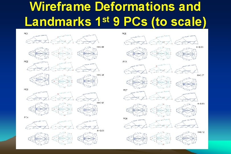 Wireframe Deformations and Landmarks 1 st 9 PCs (to scale) 