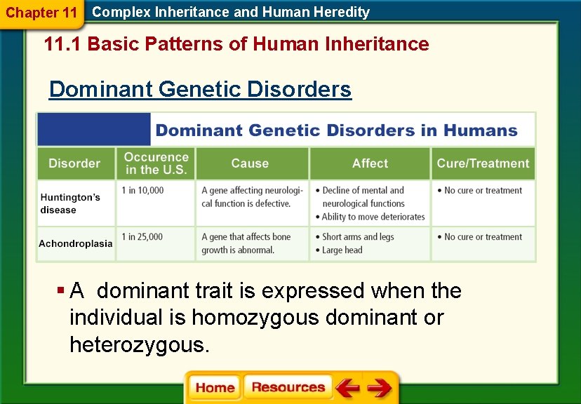 Chapter 11 Complex Inheritance and Human Heredity 11. 1 Basic Patterns of Human Inheritance