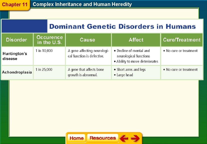 Chapter 11 Complex Inheritance and Human Heredity 