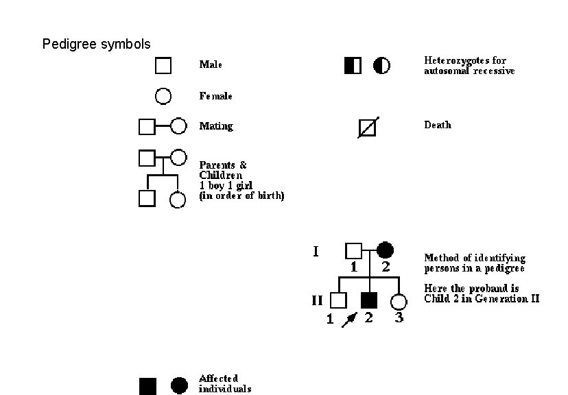 Pedigree symbols 
