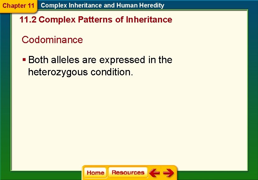 Chapter 11 Complex Inheritance and Human Heredity 11. 2 Complex Patterns of Inheritance Codominance