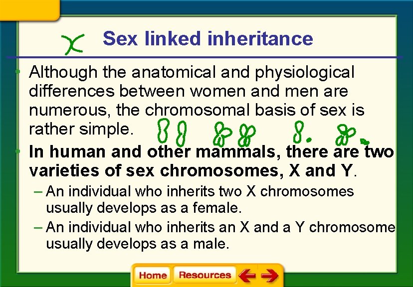 Sex linked inheritance • Although the anatomical and physiological differences between women and men