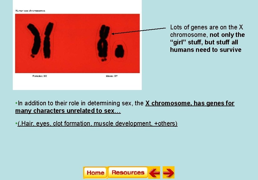Lots of genes are on the X chromosome, not only the “girl” stuff, but