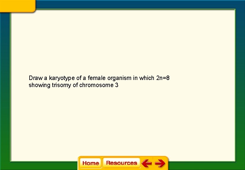 Draw a karyotype of a female organism in which 2 n=8 showing trisomy of