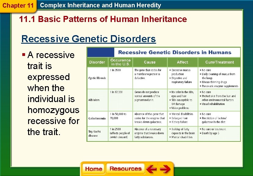 Chapter 11 Complex Inheritance and Human Heredity 11. 1 Basic Patterns of Human Inheritance