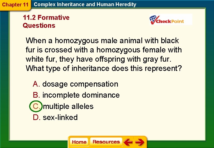 Chapter 11 Complex Inheritance and Human Heredity 11. 2 Formative Questions When a homozygous