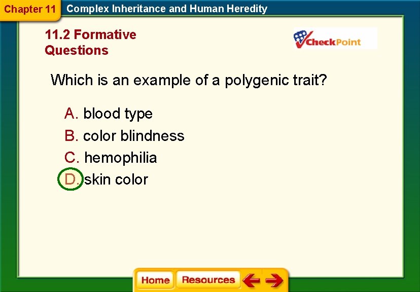 Chapter 11 Complex Inheritance and Human Heredity 11. 2 Formative Questions Which is an
