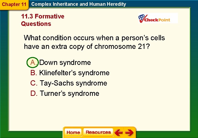 Chapter 11 Complex Inheritance and Human Heredity 11. 3 Formative Questions What condition occurs