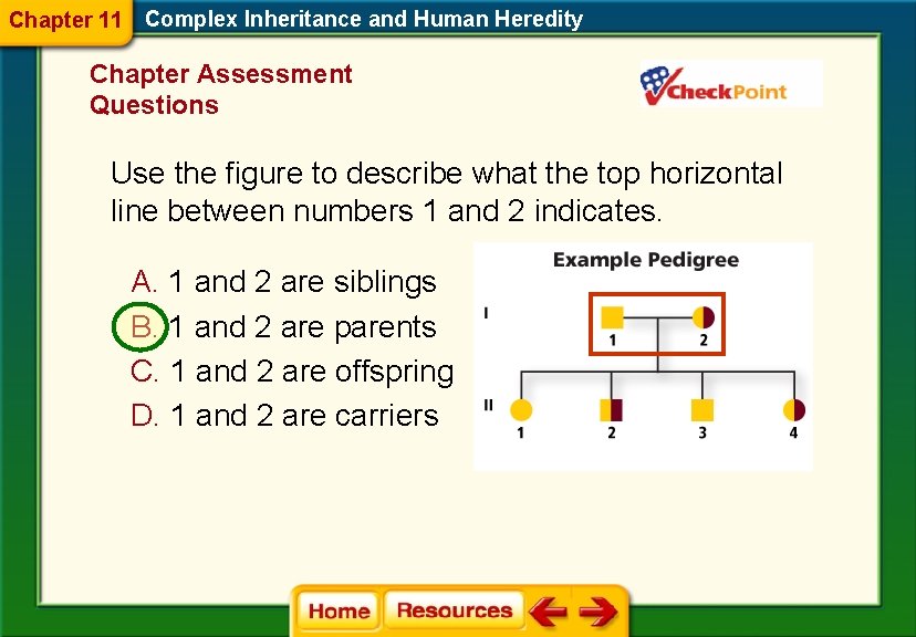 Chapter 11 Complex Inheritance and Human Heredity Chapter Assessment Questions Use the figure to