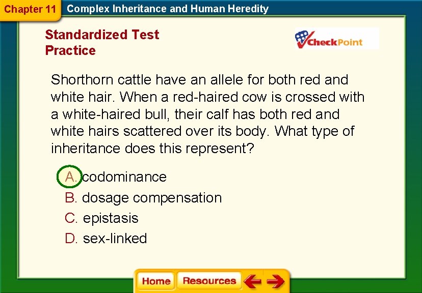Chapter 11 Complex Inheritance and Human Heredity Standardized Test Practice Shorthorn cattle have an