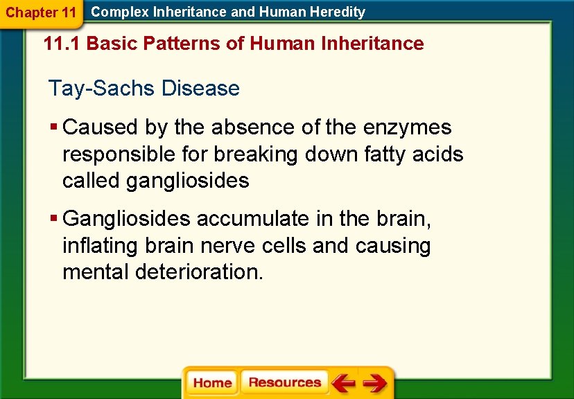 Chapter 11 Complex Inheritance and Human Heredity 11. 1 Basic Patterns of Human Inheritance