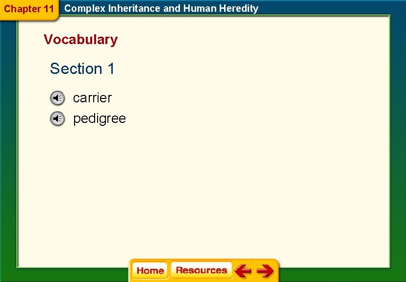 Chapter 11 Complex Inheritance and Human Heredity Vocabulary Section 1 carrier pedigree 