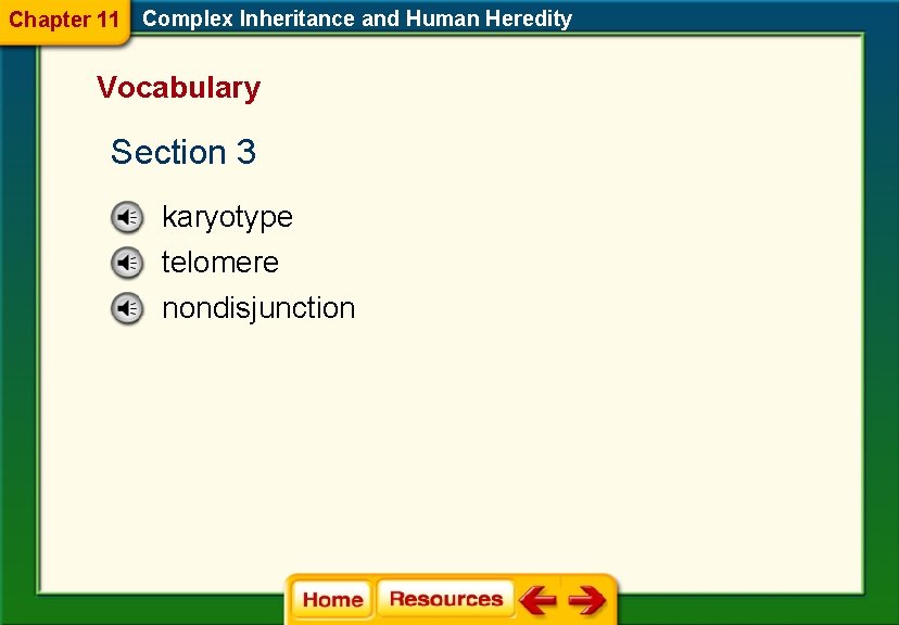 Chapter 11 Complex Inheritance and Human Heredity Vocabulary Section 3 karyotype telomere nondisjunction 