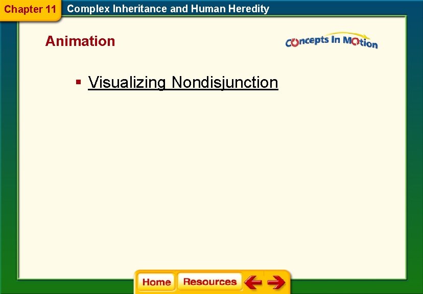 Chapter 11 Complex Inheritance and Human Heredity Animation § Visualizing Nondisjunction 