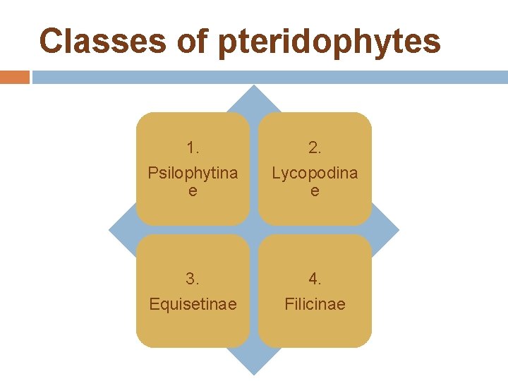 Classes of pteridophytes 1. Psilophytina e 2. Lycopodina e 3. 4. Equisetinae Filicinae 