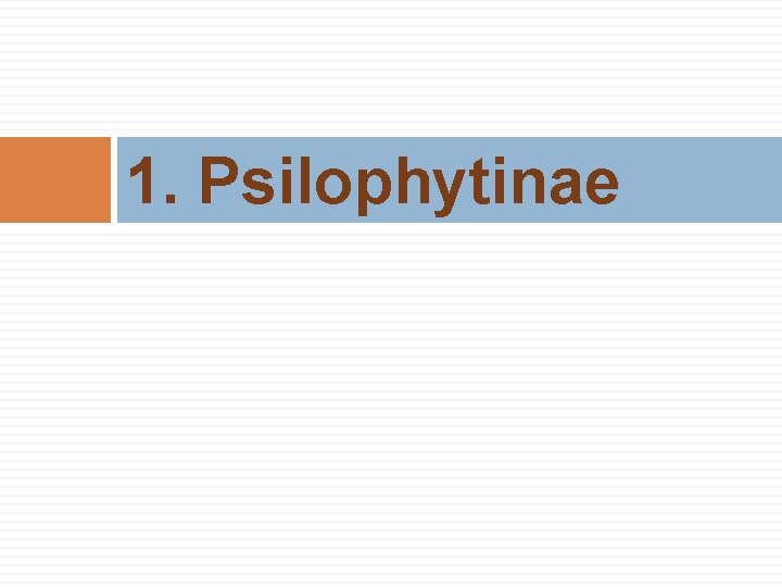 1. Psilophytinae 