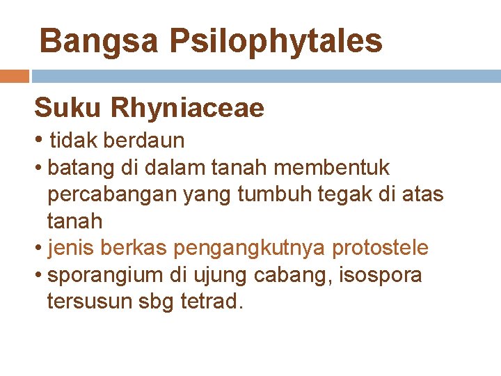 Bangsa Psilophytales Suku Rhyniaceae • tidak berdaun • batang di dalam tanah membentuk percabangan