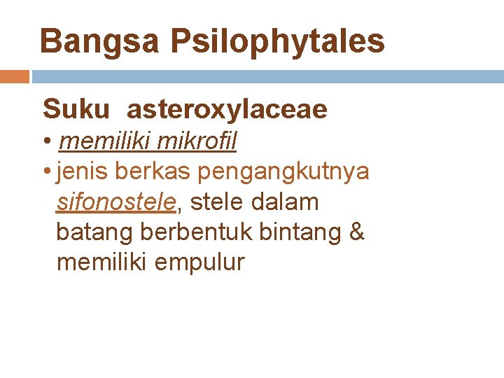 Bangsa Psilophytales Suku asteroxylaceae • memiliki mikrofil • jenis berkas pengangkutnya sifonostele, stele dalam