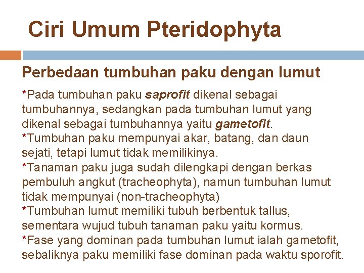 Ciri Umum Pteridophyta Perbedaan tumbuhan paku dengan lumut *Pada tumbuhan paku saprofit dikenal sebagai