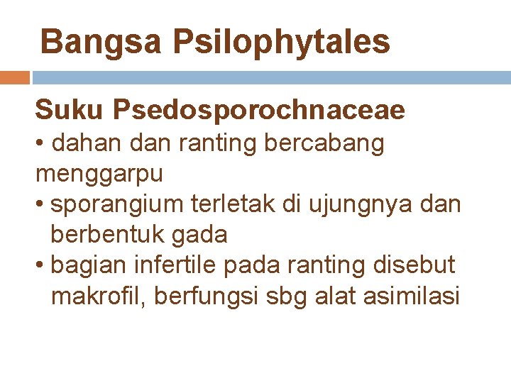 Bangsa Psilophytales Suku Psedosporochnaceae • dahan dan ranting bercabang menggarpu • sporangium terletak di