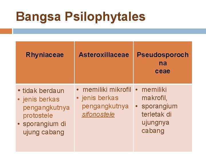 Bangsa Psilophytales Rhyniaceae Asteroxillaceae Pseudosporoch na ceae • memiliki mikrofil • memiliki • jenis