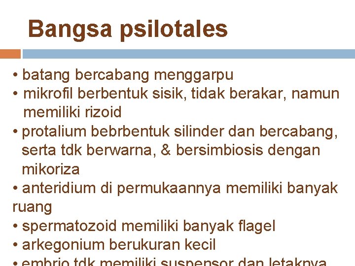 Bangsa psilotales • batang bercabang menggarpu • mikrofil berbentuk sisik, tidak berakar, namun memiliki