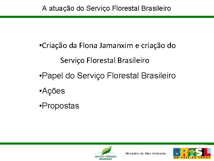 A atuação do Serviço Florestal Brasileiro • Criação da Flona Jamanxim e criação do