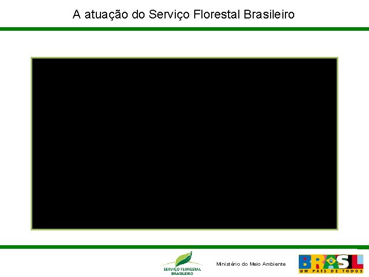 A atuação do Serviço Florestal Brasileiro Criação da Flona Jamanxim e criação do Serviço
