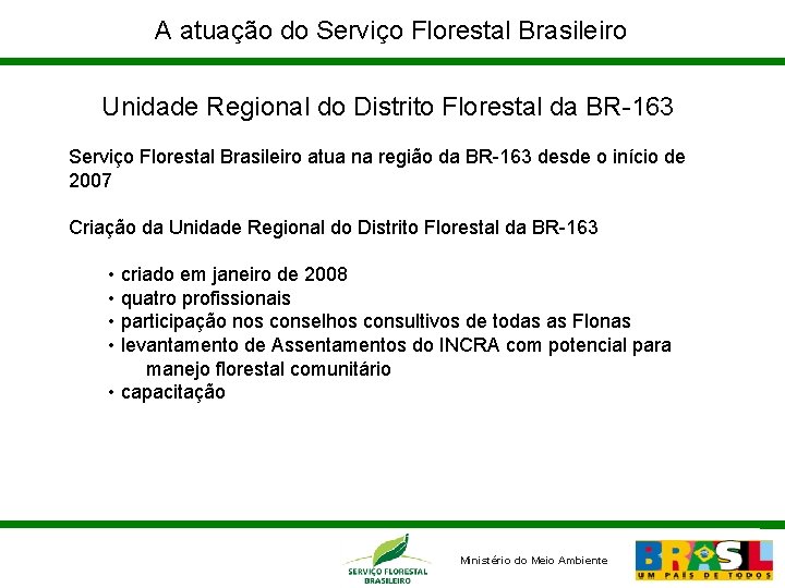 A atuação do Serviço Florestal Brasileiro Unidade Regional do Distrito Florestal da BR-163 Serviço