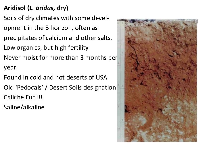 Aridisol (L. aridus, dry) Soils of dry climates with some development in the B