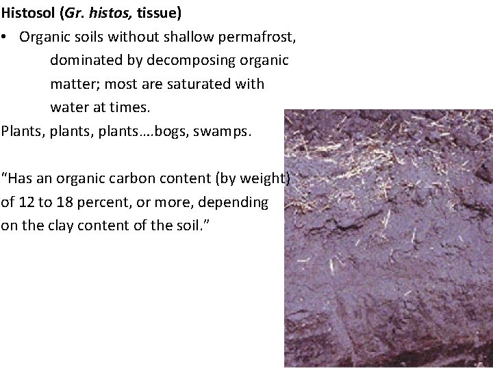 Histosol (Gr. histos, tissue) • Organic soils without shallow permafrost, dominated by decomposing organic