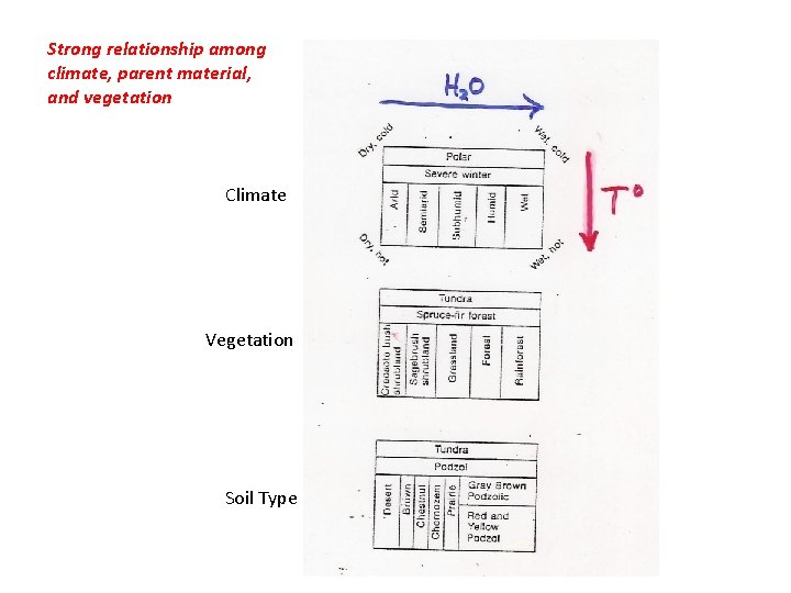 Strong relationship among climate, parent material, and vegetation Climate Vegetation Soil Type 