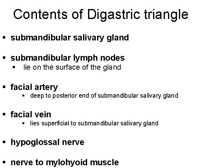 Contents of Digastric triangle § submandibular salivary gland § submandibular lymph nodes § lie