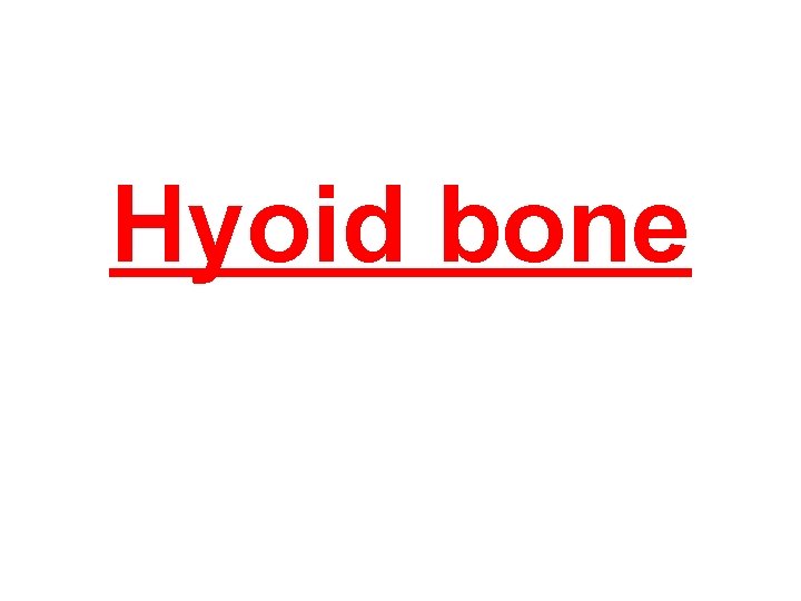 Hyoid bone 