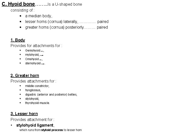 C. Hyoid bone……. . Is a U-shaped bone consisting of : § a median