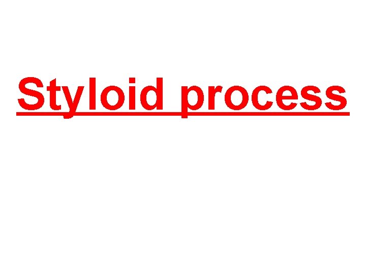 Styloid process 