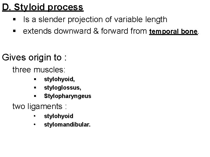 D. Styloid process § Is a slender projection of variable length § extends downward