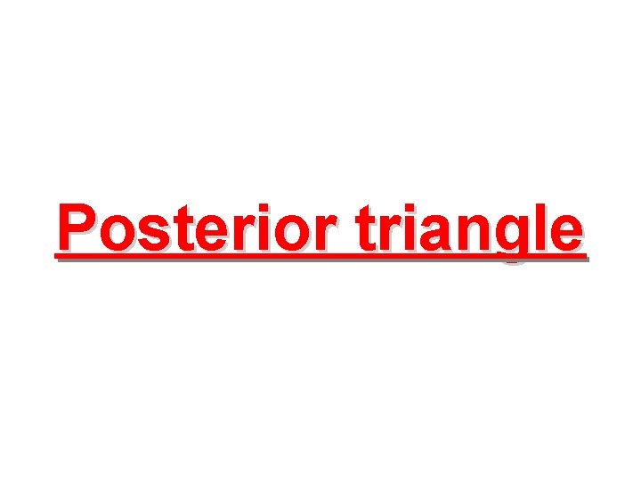 Posterior triangle 